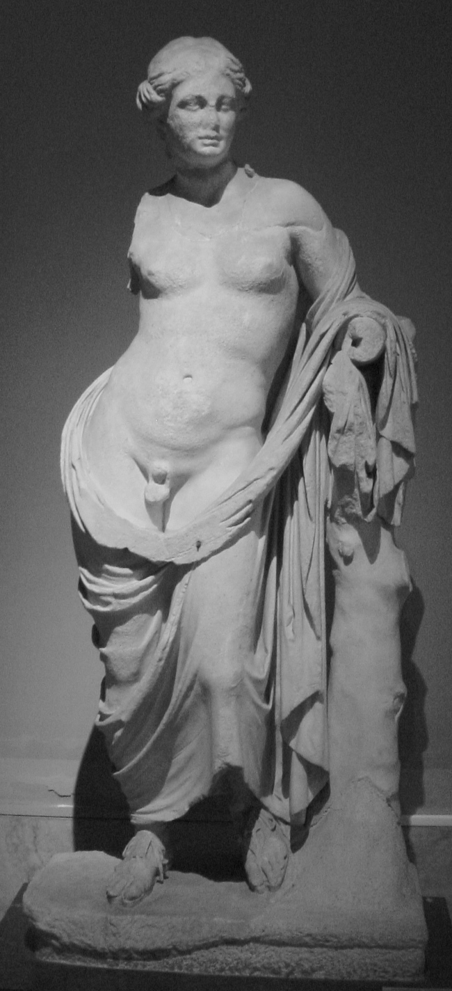 Hermaphroditus
